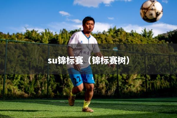 su锦标赛（锦标赛树）