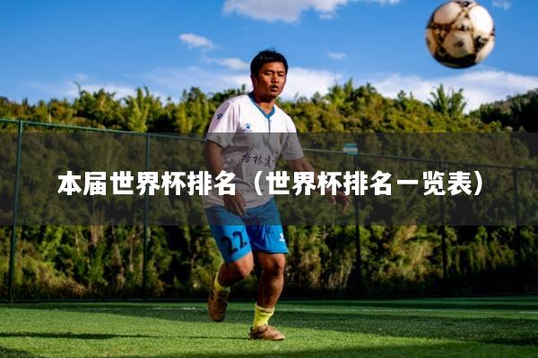 本届世界杯排名（世界杯排名一览表）