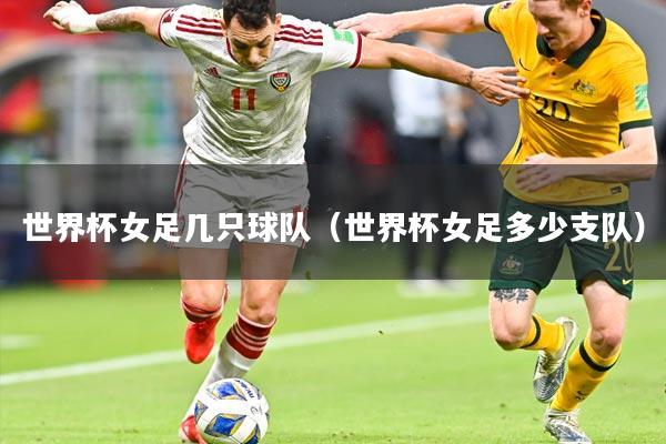 世界杯女足几只球队（世界杯女足多少支队）