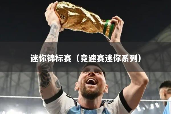 迷你锦标赛（竞速赛迷你系列）