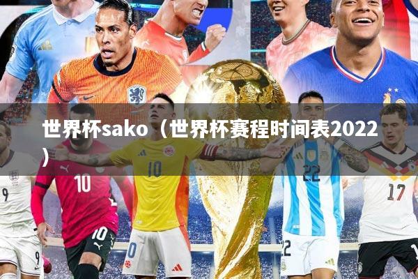 世界杯sako（世界杯赛程时间表2022）